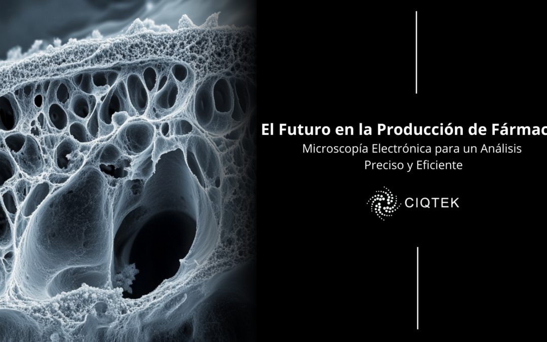 Microscopía Electrónica para un Análisis Preciso y Eficiente